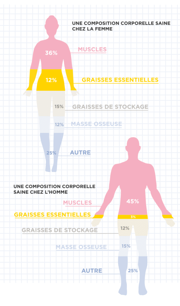 Composition corporelle des femmes et des hommes