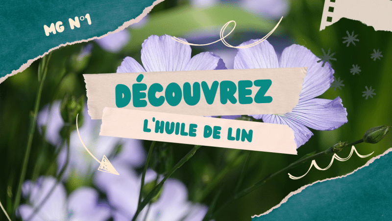 Découvrez l'huile de lin