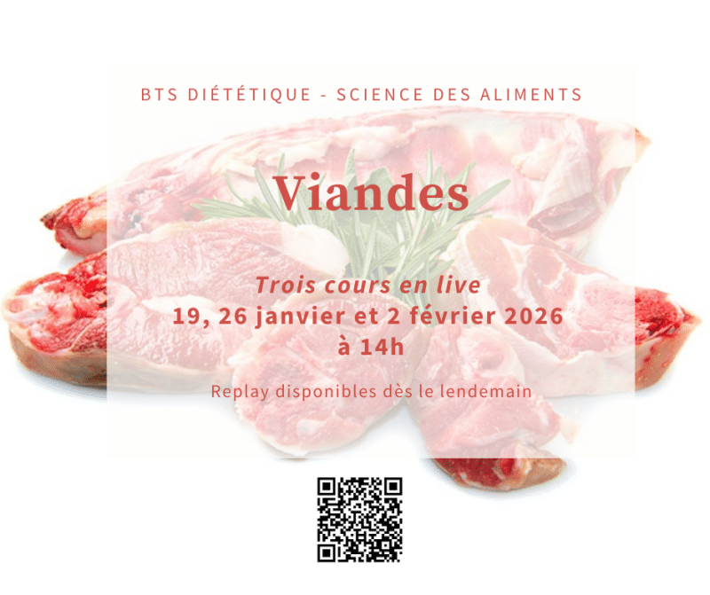 Module de cours sur les viandes